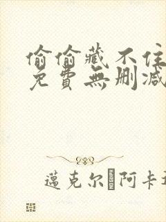 偷偷藏不住小说免费无删减