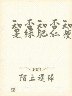 知否知否知否应是绿肥红瘦一共多少集