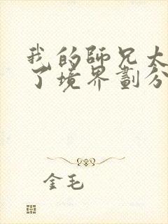 我的师兄太稳健了境界划分