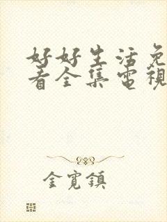 好好生活免费观看全集电视剧封面