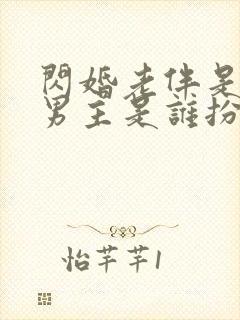 闪婚老伴是豪门男主是谁扮演的