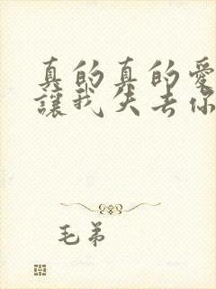 真的真的爱你别让我失去你是什么歌