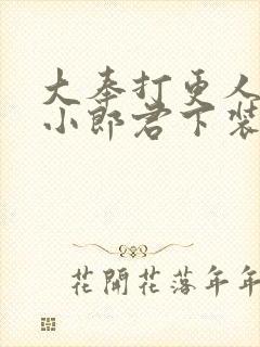 大奉打更人卖报小郎君下装电子书封面