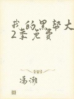 我的黑帮大佬第2季免费