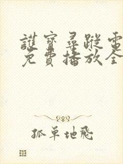 护宝寻踪电视剧免费播放全集完整版高清