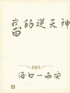 我的逆天神器小白