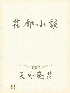 花都小说封面