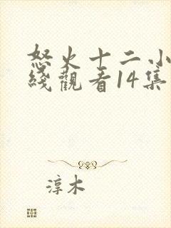 怒火十二小时在线观看14集免费