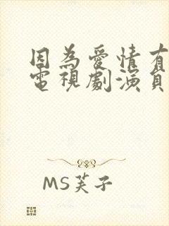 因为爱情有多美电视剧演员表