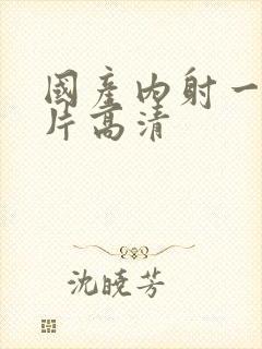 国产内射一级一片高清