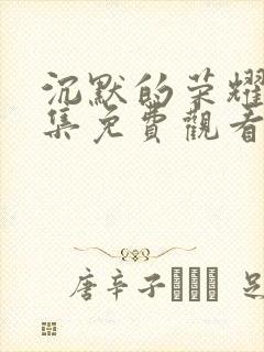 沉默的荣耀33集免费观看全集