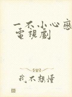 一不小心恋爱了 电视剧