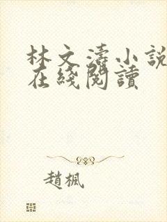 林文涛小说最新在线阅读