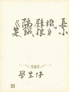 《隔壁机长大叔是饿狼》小说