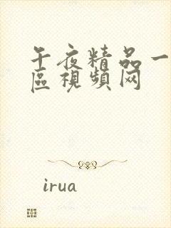 午夜精品一区二区视频网封面