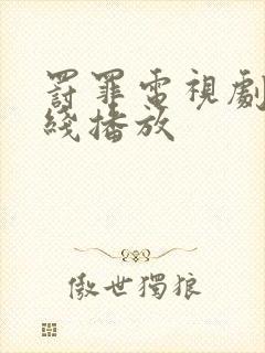 罚罪电视剧 在线播放