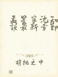 孟星宁沈知聿小说最新章节免费阅读