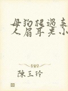 母狗爬过来叫主人扇耳光小说免费封面