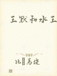 王默和水王子