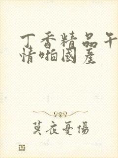 丁香精品午夜激情啪国产