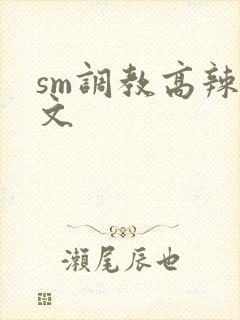 sm调教高辣h文