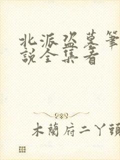北派盗墓笔记小说全集看