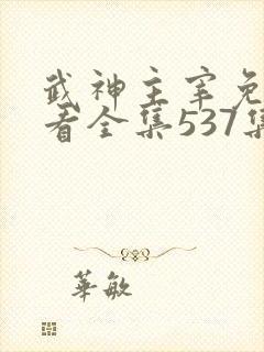 武神主宰免费观看全集537集