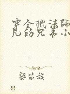 穿全职法师成莫凡的兄弟小说封面