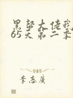 黑帮大佬我的365天第二季