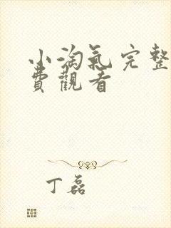 小淘气完整版免费观看