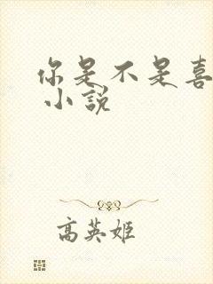 你是不是喜欢我 小说