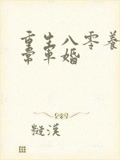 重生八零养娃日常军婚封面