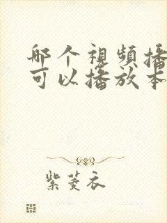 哪个视频播放器可以播放本地视频