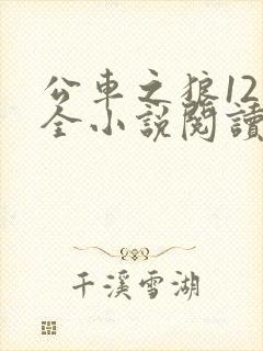 公车之狼12集全小说阅读