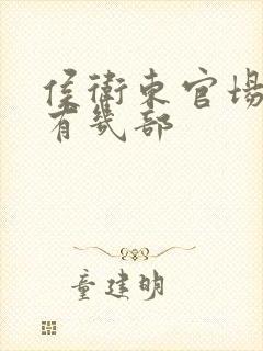 侯卫东官场笔记有几部