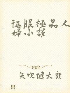 征服极品人妻少妇小说封面