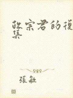 政宗君的复仇画集