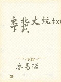 东北大炕txt下载