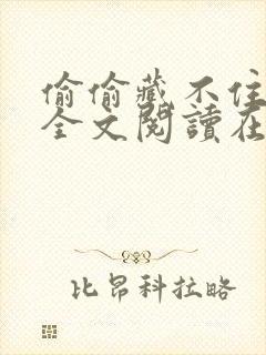 偷偷藏不住小说全文阅读在线封面