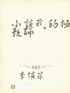 小说我的极品女教师封面