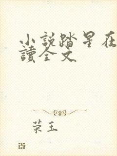 小说踏星在线阅读全文