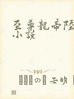 至尊龙帝陆鸣 小说封面