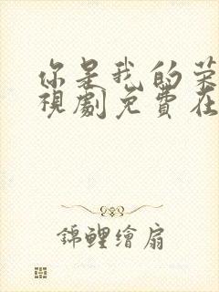 你是我的荣耀电视剧免费在线观看