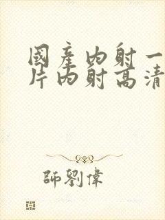 国产内射一级一片内射高清视频1