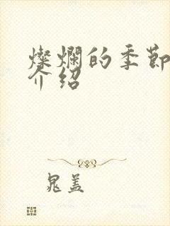 灿烂的季节剧情介绍