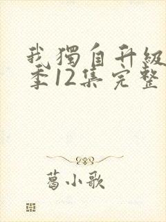 我独自升级第2季12集完整版封面