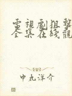 电视剧狙击部队全集在线观看免费封面