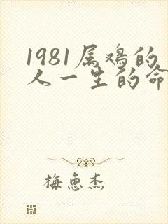 1981属鸡的人一生的命运是怎么样的