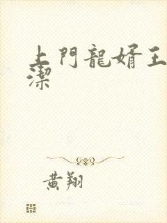 上门龙婿王浩李洁封面