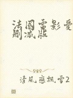 法国电影爱恋无删减版